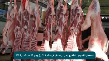 أسعار اللحوم.. ارتفاع جديد يسجل في كفر الشيخ يوم 25 سبتمبر 2025